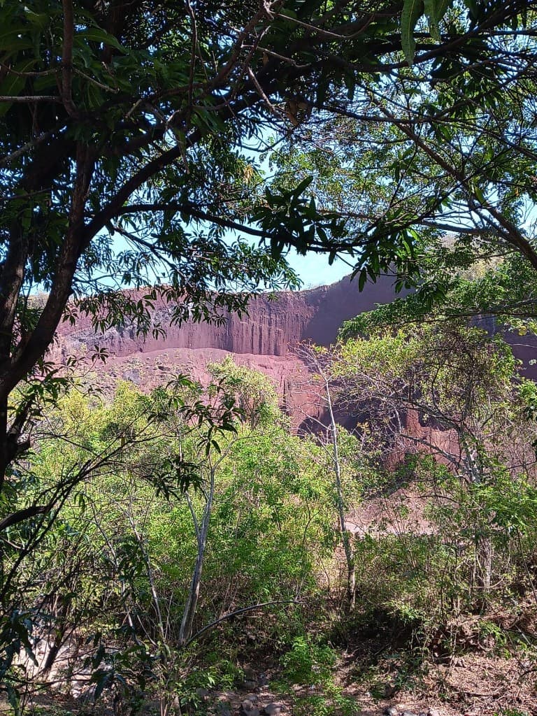 Red rock cliff framed by green jungle trees